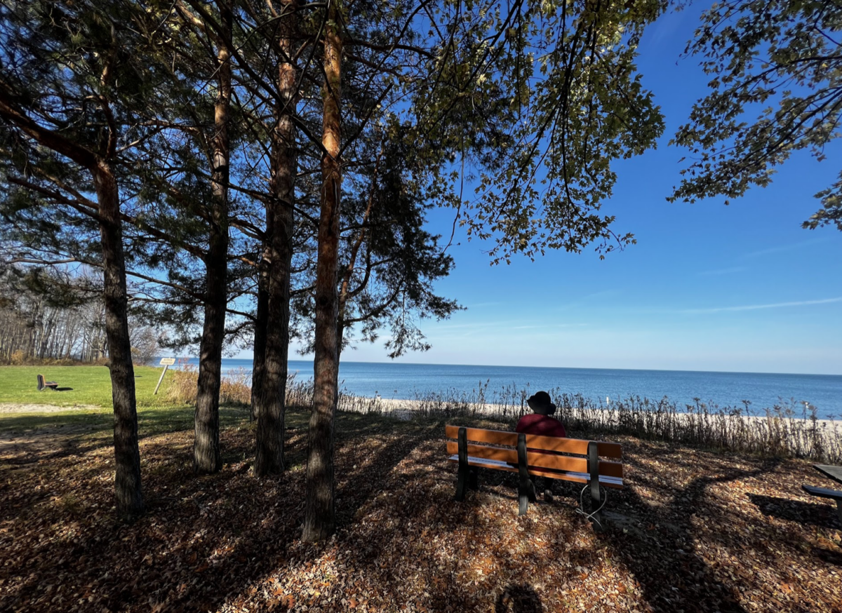 Bench by the lake with woman sitting